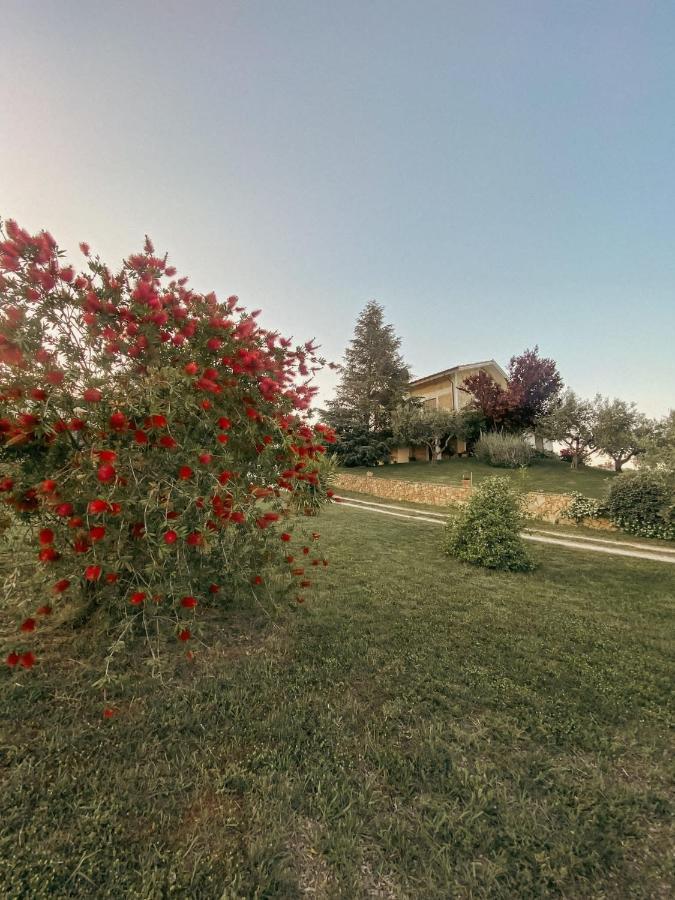 Bed & Breakfast Le Coccinelle Bed & Breakfast Rosciano  Exterior photo