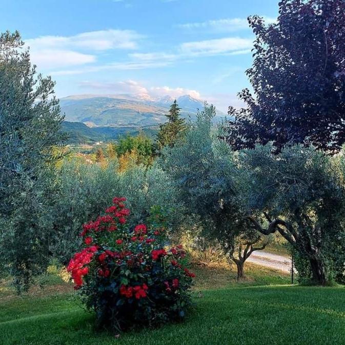 Bed & Breakfast Le Coccinelle Bed & Breakfast Rosciano  Exterior photo