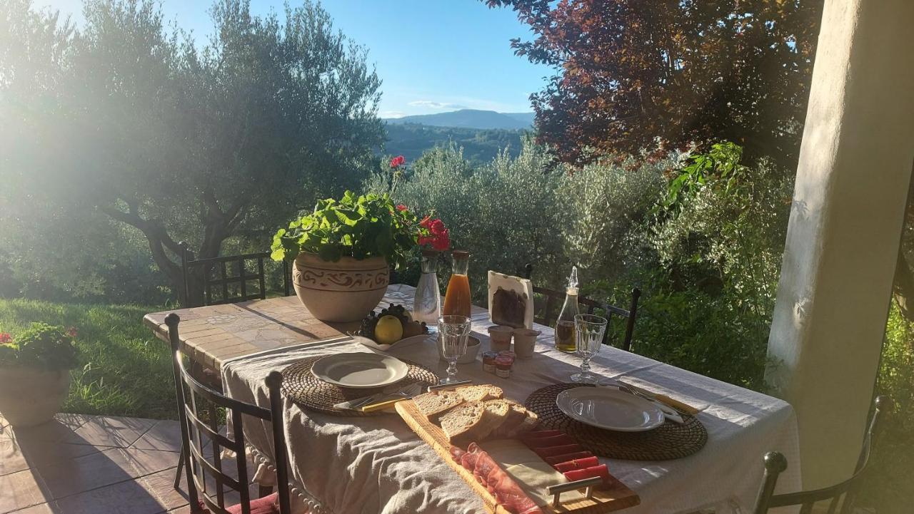 Bed & Breakfast Le Coccinelle Bed & Breakfast Rosciano  Exterior photo